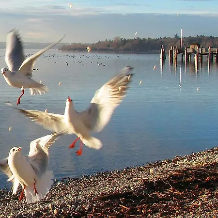 Seehof Herrsching am Ammersee