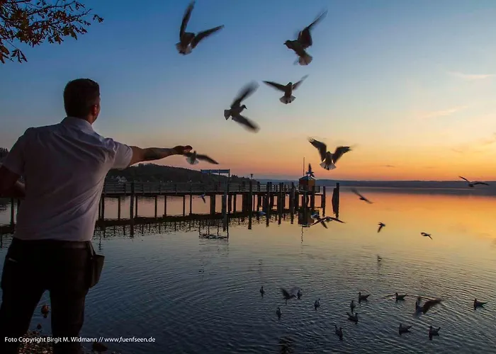 Seehof هيرشينج ام امرسي