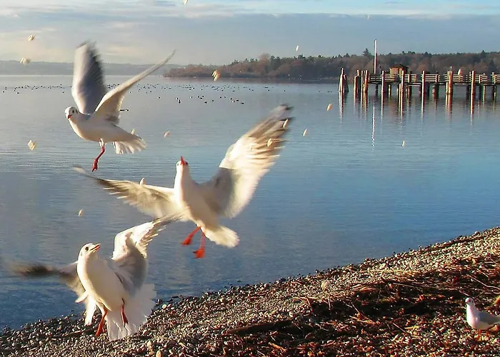 Seehof Herrsching am Ammersee